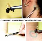 Lebah